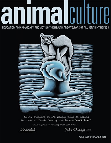 Animal Culture magazine