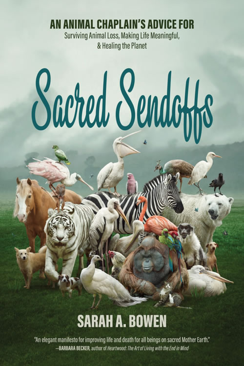 Sacred Sendoffs book cover